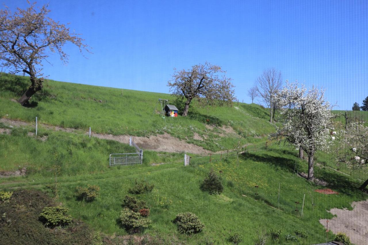 Adlerhof Lägenhet Bahretal Exteriör bild